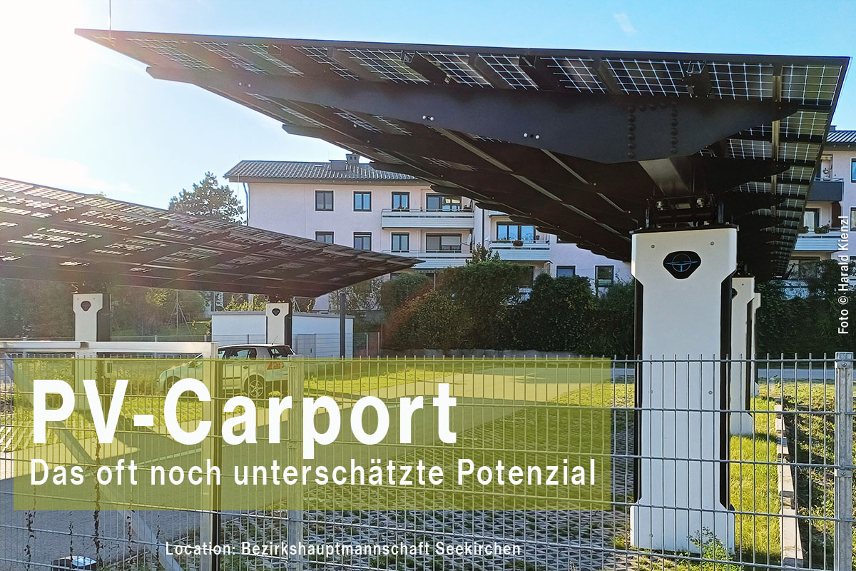 Foto: Harald Kienzl © 2024